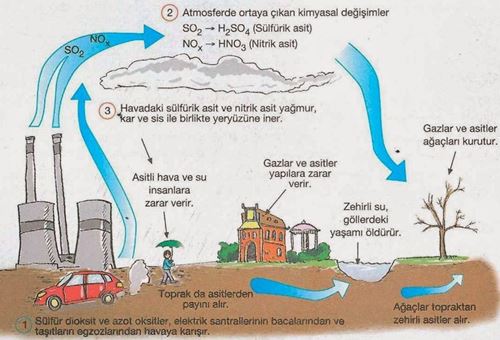Asit Yağmurlarının Zararları ve Alınabilecek Önlemler