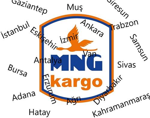 MNG Kargo şubeleri telefon adresleri
