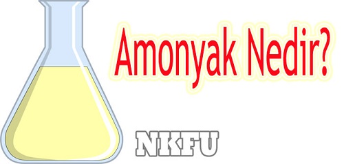 Amonyak Hakkında Bilgi